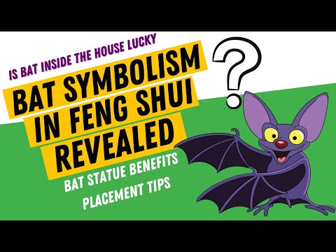 Bat Symbolism Feng Shui Meaning: Is Bat Inside The House Lucky | Bat Statue Benefits, Placement Tips