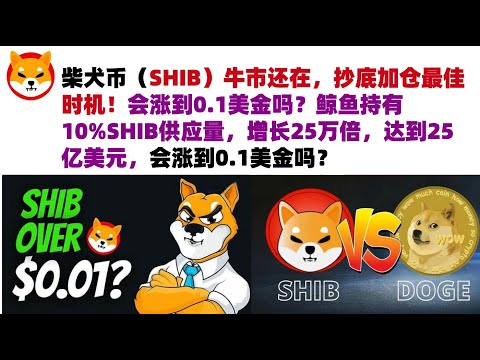 柴犬币（SHIB）牛市还在，抄底加仓最佳时机！会涨到0.1美金吗？鲸鱼持有10%SHIB供应量，增长25万倍，达到25亿美元，最初投资仅1万美元，会涨到0.1美金吗？#shib币#柴犬币#屎币行情分析