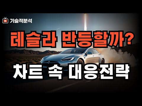 테슬라 8% 폭락 이후에 반등할까? ｜차트로 보는 대응 전략은?!