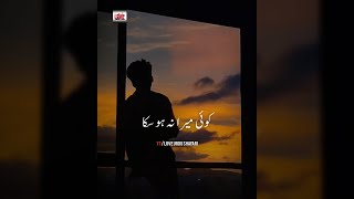 💔Koi Mera Na Ho Saka🥀| Sad Poetry Status | Urdu Poetry Status | WhatsApp Status | Poetry Status