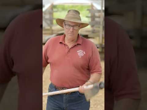 “We’re not in the golf course business” - Joel Salatin on weed management on your farm #farming