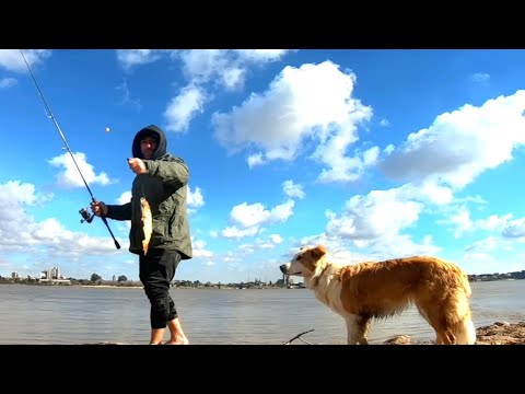 LA LEYENDA DEL MATE, "Pesca, Cocina y Aventura en la ISLA". PESCA URBANA