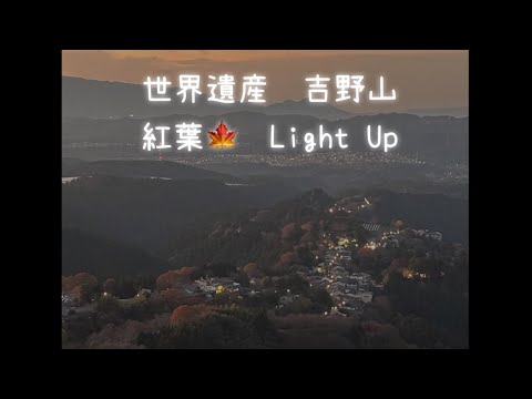 世界遺産　吉野山の紅葉🍁ライトアップ(前編) 2024年12月1日　World Heritage Yoshino