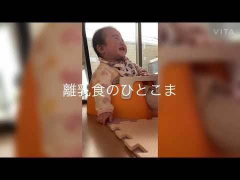 【癒し動画】赤ちゃんの爆笑タイム【離乳食さぼる】生後7ヶ月の天使♡楽しい育児