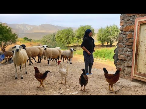 Discover the Secrets of Iran’s Nomadic Family: A Look into Their Traditional Life