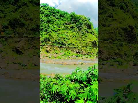 JUNGLE Beautiful Hai #shorts #travel #trending