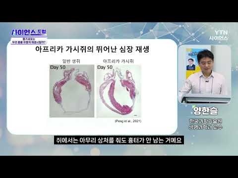 2024년 제1회 NRF와 함께하는 즐거운 이동과학교실(임자중학교편)