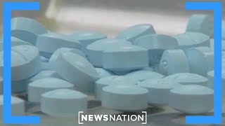 What's fueling the fentanyl crisis? | NewsNation Now