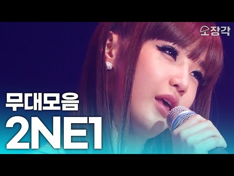 전설이 돌아왔다! 한 명씩 파트 시작할 때마다 입틀막하게 되는 실력🙊 2NE1 고퀄 라이브 무대 모음.zip I KBS 방송