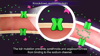 Resistance101 - Resistance mechanisms, Target site resistance