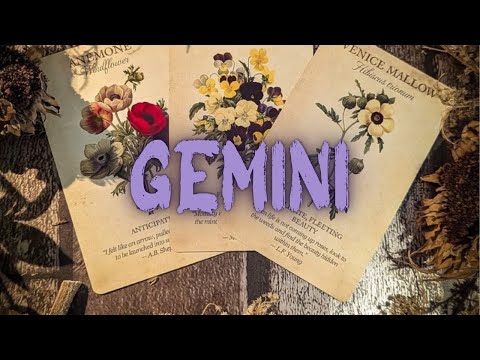 GEMINI🥰 THEY’RE IN LOVE❤️ & WANT YOU& ONLY YOU😍THE 3RD PARTY SITUATION IS OVER💔ITS A NEW BEGINNING‼️