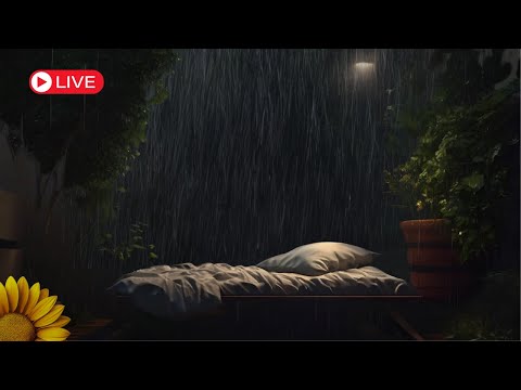 🔴Não há INSÔNIA que RESISTA com Esse SOM  da  CHUVA e TROVOADAS para DORMIR e RELAXAR💤