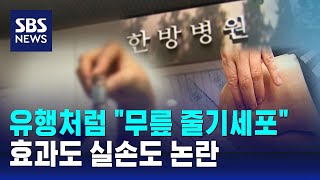 유행처럼 "무릎 줄기세포"…효과도 실손도 논란 / SBS