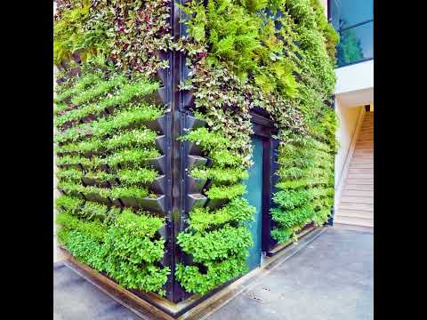 Living Walls Breathing Life⁠