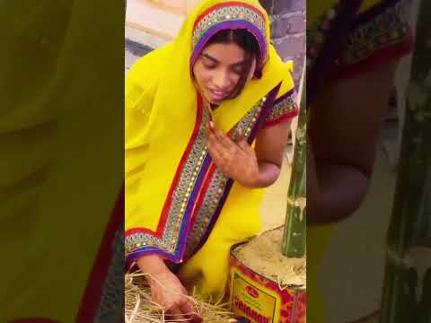 Aaju Janakpur Mein !!💥💥💥#wedding #shorts #shortsfeed #viralvideo #song #newsong #vivahgeet