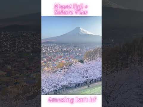 Amazing Mount Fuji & Sakura View, Hello Spring! #helloamazingjapan #shorts #spring #sakura #fujisan