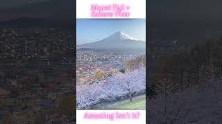 Amazing Mount Fuji & Sakura View, Hello Spring! #helloamazingjapan #shorts #spring #sakura #fujisan