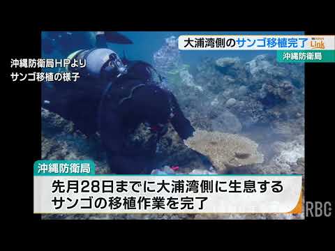 辺野古移設工事めぐり「大浦湾側でのサンゴ移植完了」と発表　沖縄防衛局