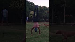 handstand tutorial #handbalance #handstandchallenge #handstandeverywhere