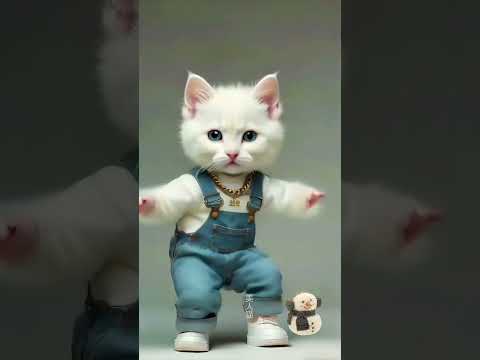 #Ep285 ❤😻🐾Cute kitten #cat #lovecats #cats #catvideos #kittens #catlover #princesscat #kitten