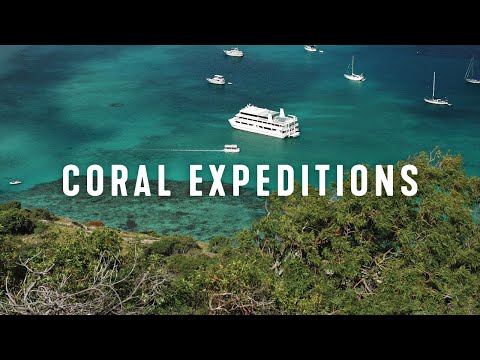 Finding Freedom on the Great Barrier Reef with Coral Expeditions