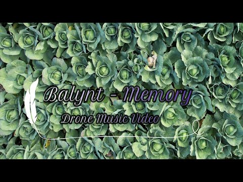 Balynt - Memory (Drone Music Video)