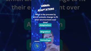 Quiz Me on Animal Adaptations #quiz #quizmaster #trivia  #animalquestions #animalquiz