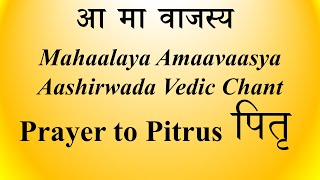 MELODIOUS Pitr (पितृ) Vedic Chant | Aama Vajasya  | Sukla Yajur Kaanva Shaakha | Ghanam | K Suresh