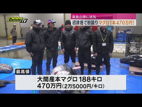 沼津魚市場で初競り　本マグロ最高値は470万円のご祝儀相場（静岡・沼津市）