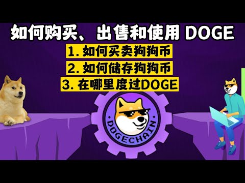 如何购买、出售和使用 DOGE 2 / How to Buy, Sell and Use DOGE