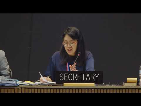 19th session of the Intergovernmental Committee - Floor - 3 December 2024 - pt6c