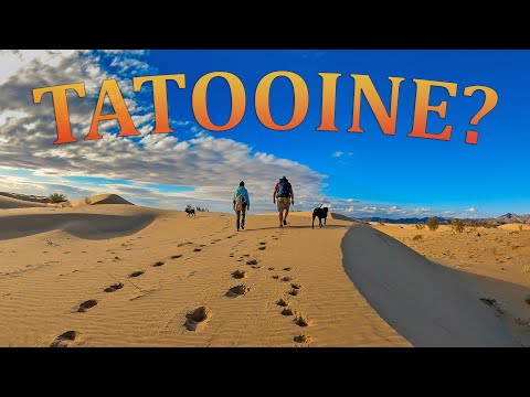 Hiking in the Algodones Sand Dunes