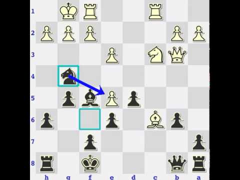 Chess: IM Dean Ippolito (2544) vs Me (1552), simul