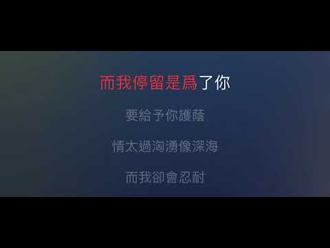 不要驚動愛情 伴奏 mmoC 男調（原唱：鄭秀文，高皓正版）粵語歌詞