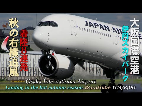 伊丹空港 秋の右横追風ふわふわ軽く着陸 中大型8機 | 4K Landing in Osaka ITAMI Airport ITM/RJOO