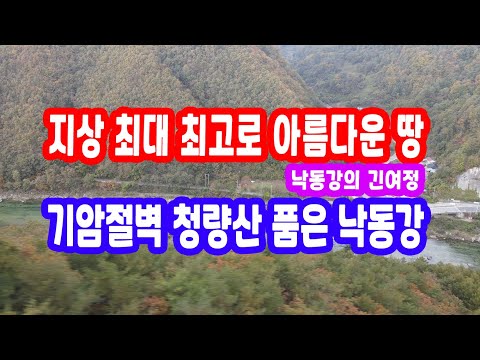 경북땅 시골 땅 청량산 낙동강 최고 주택지, 토지 매매 힐링 산골 산촌 시골 계곡땅 산 촌 땅 시골 생활 낙동강이 선사한 보물 같은 땅