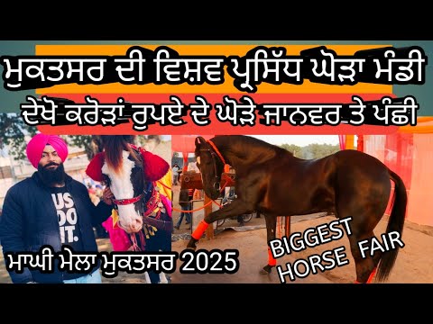 ਪਹਿਲੀ ਵਾਰ ਦੇਖੇ ਲੱਖਾਂ ਹੀ ਜਾਨਵਰ ਇਕ ਜਗਾਹ|world famous Hourse mandi Muktsar sahib|maghi mela muktsar