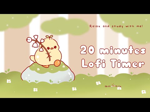 20 minutes - Relax & study with me Lofi | Duck on a rock #20minutetimer  #20min #lofi #relaxing