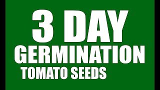 Tomato Seeds   3 Day Germination   GrowLikeAPro