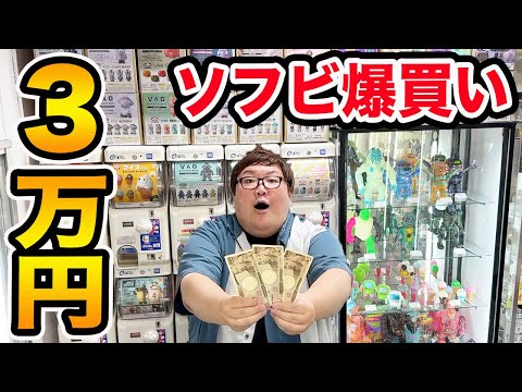 【爆買い】145kgが3万円でソフビを『好き放題買っていいよ！』と言ったら一体何を爆買いするのか?!