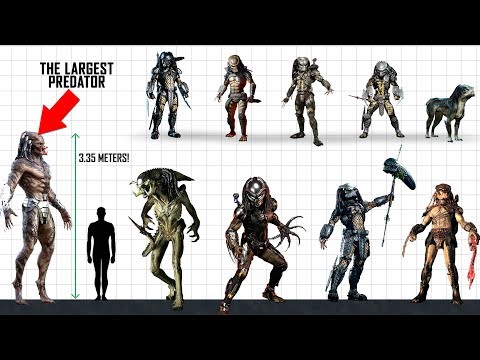 PREDATOR Size Comparison