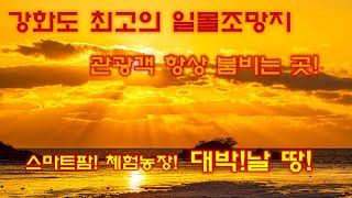 강화도 부동산! 강화도 일몰 조망지! 관광객 항숭 붐비는 곳! 스마트팜,체험농장 대박나는 강화도 토지