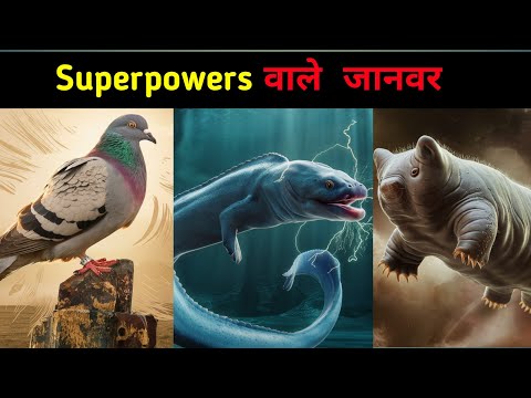 सुपरपॉवर्स वाले  जानवर | Animals with superpowers