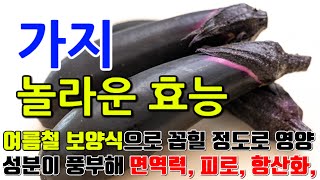 가지의 놀라운 효능 8가지 & 부작용 / "건강을 위한 가지의 마법: 비타민과 식이섬유의 풍부함"