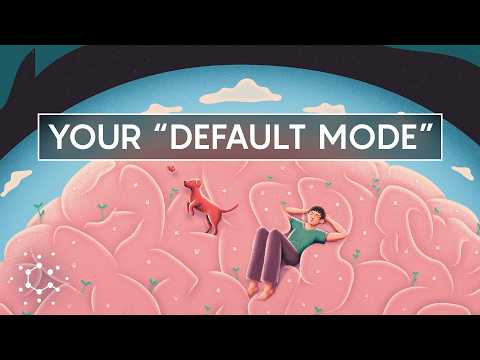 What Your Brain Is Really Doing When You're Doing 'Nothing': Default Mode Network