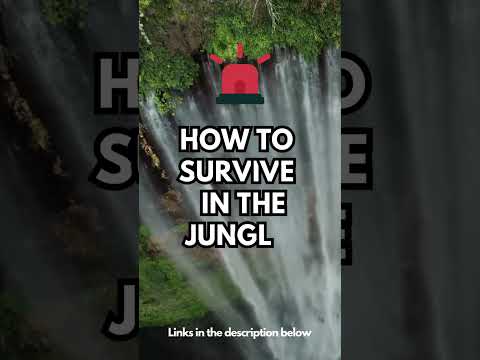 🔴How to survive in the jungle? [FULL GUIDE]