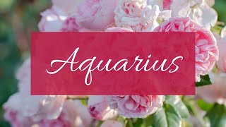 Aquarius❤️Who’s coming towards u in love: Why u need to walk away from them..