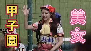 甲子園的美女 甲子園の美少女