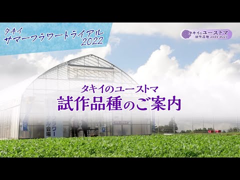 【園芸】タキイ「ユーストマ」2022-2023年 試作品種のご紹介