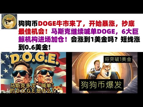 狗狗币DOGE牛市来了，开始暴涨，抄底最佳机会！马斯克继续喊单DOGE，6大巨鲸机构进场加仓！会涨到1美金吗？短线涨到0.6美金#DOGE币#马斯克狗狗币#DOGE行情分析